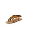 Chicmanor.shop67005ab352 1