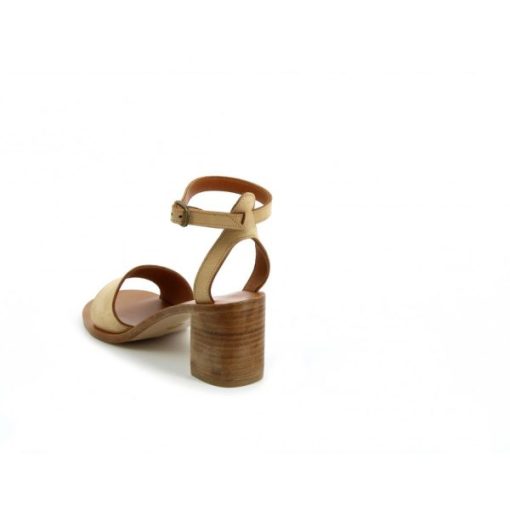 Chicmanor.shop7af44d77fc 3